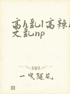 高h乱l高辣h文乱np