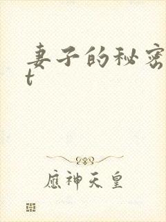 妻子的秘密txt封面