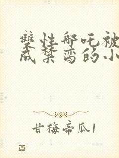 双性哪吒被调教成禁脔的小说