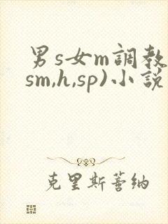 男s女m调教(sm,h,sp)小说