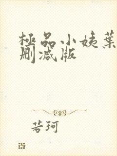 极品小姨叶凡无删减版封面