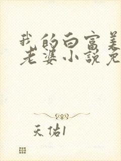 我的白富美总裁老婆小说免费阅读