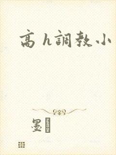 高 h调教小说封面