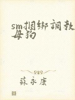 sm捆绑调教小母狗
