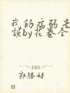我的病弱老婆小说by花卷全文