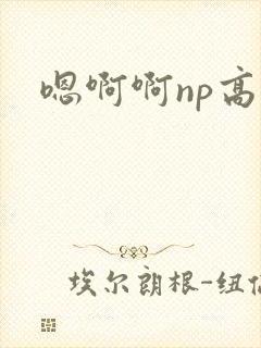 嗯啊啊np高h