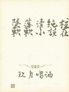 坠落清纯校花苏软软小说在线阅读