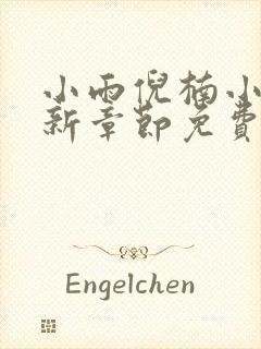 小雨倪楠小说最新章节免费阅读封面