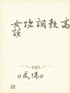 女攻调教高h小说