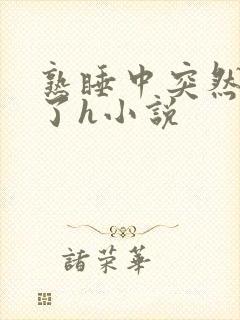 熟睡中突然被进了h小说