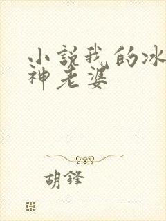 小说我的冰山女神老婆