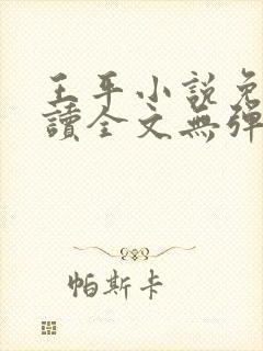 王平小说免费阅读全文无弹窗