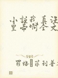 小说我真没想当皇帝啊全文封面