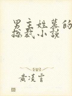 男主姓慕的所有总裁小说