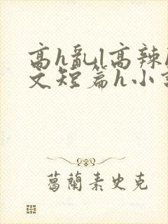 高h乱l高辣h文短篇h小说