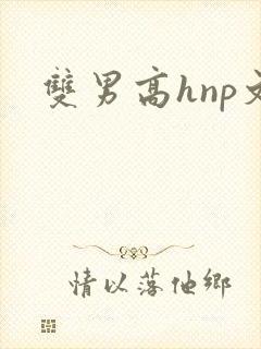 双男高hnp文