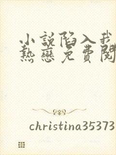 小说陷入我们的热恋免费阅读全文封面