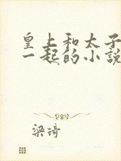 皇上和太子妃在一起的小说有哪些