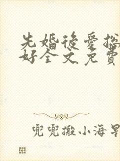 先婚后爱总裁你好全文免费阅读