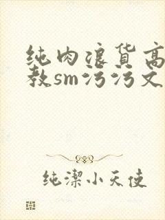 纯肉浪货高h调教sm污污文