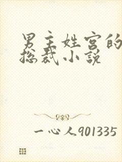 男主姓宫的现代总裁小说