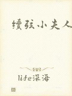 续弦小夫人完结