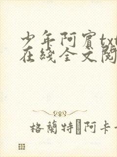 少年阿宾txt在线全文阅读