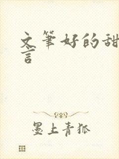 文笔好的甜宠古言