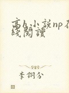 高h小说np在线阅读