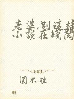 老婆,别这样 小说在线阅读