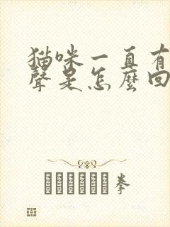 猫咪一直有呼噜声是怎么回事封面