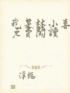 我是林小喜全文免费阅读