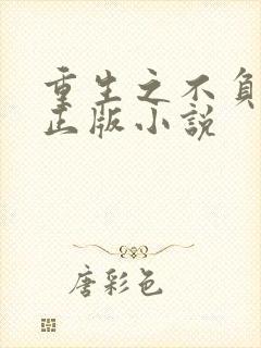 重生之不负韶华正版小说