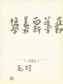 绝美白莲在线教学最新章节