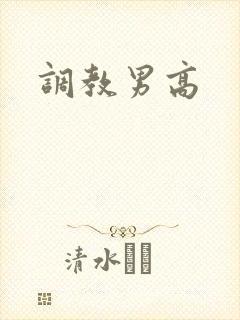 调教男高封面