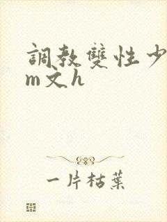 调教双性少年sm文h