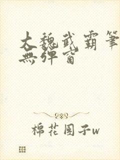 大魏武霸笔趣阁无弹窗