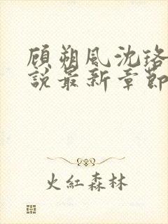 顾朔风沈珞舒小说最新章节更新内容