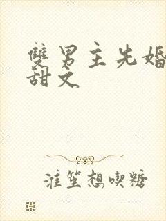 双男主先婚后爱甜文