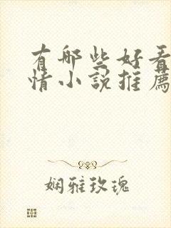 有哪些好看的言情小说推荐封面