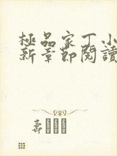 极品家丁小说最新章节阅读封面