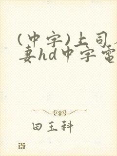 (中字)上司人妻hd中字电影封面