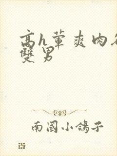 高h荤爽肉欲文双男