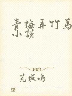青梅弄竹马天时小说