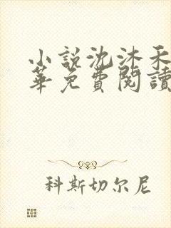 小说沈沐禾林霜华免费阅读