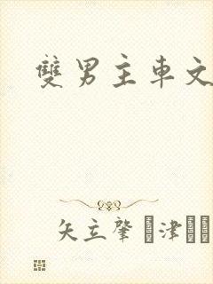 双男主车文主攻封面