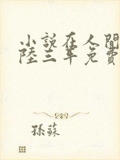 小说在人间采薇陆三平免费阅读封面