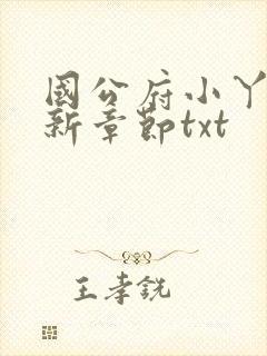 国公府小丫鬟最新章节txt