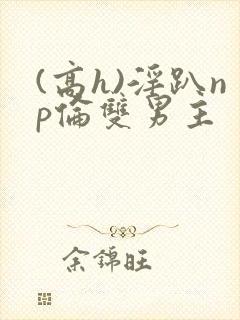 (高h)淫趴np伦双男主