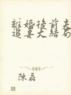 离婚后前夫日日追妻大结局